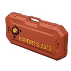 Case eSports 2013