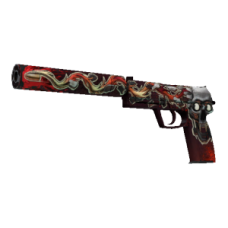 USP-S | Confirmed Kill