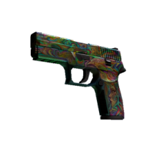 P250 | visions