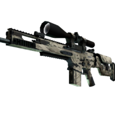 SCAR-20 | Palm