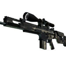 SCAR-20 | Palm