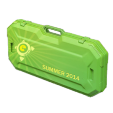 ESports Summer Case 2014