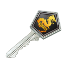 Operation Wildfire Case Key