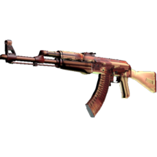 AK-47 | x-ray