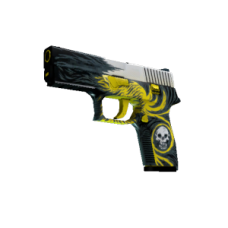 P250 | Hunter