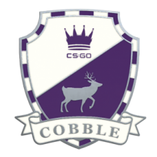 Cobblestone icon