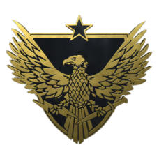 Badge: Brigadier General