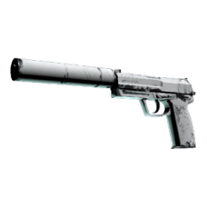 USP-S | snow haze