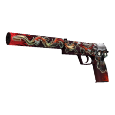 USP-S | Confirmed Kill