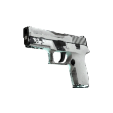 P250 | snow haze